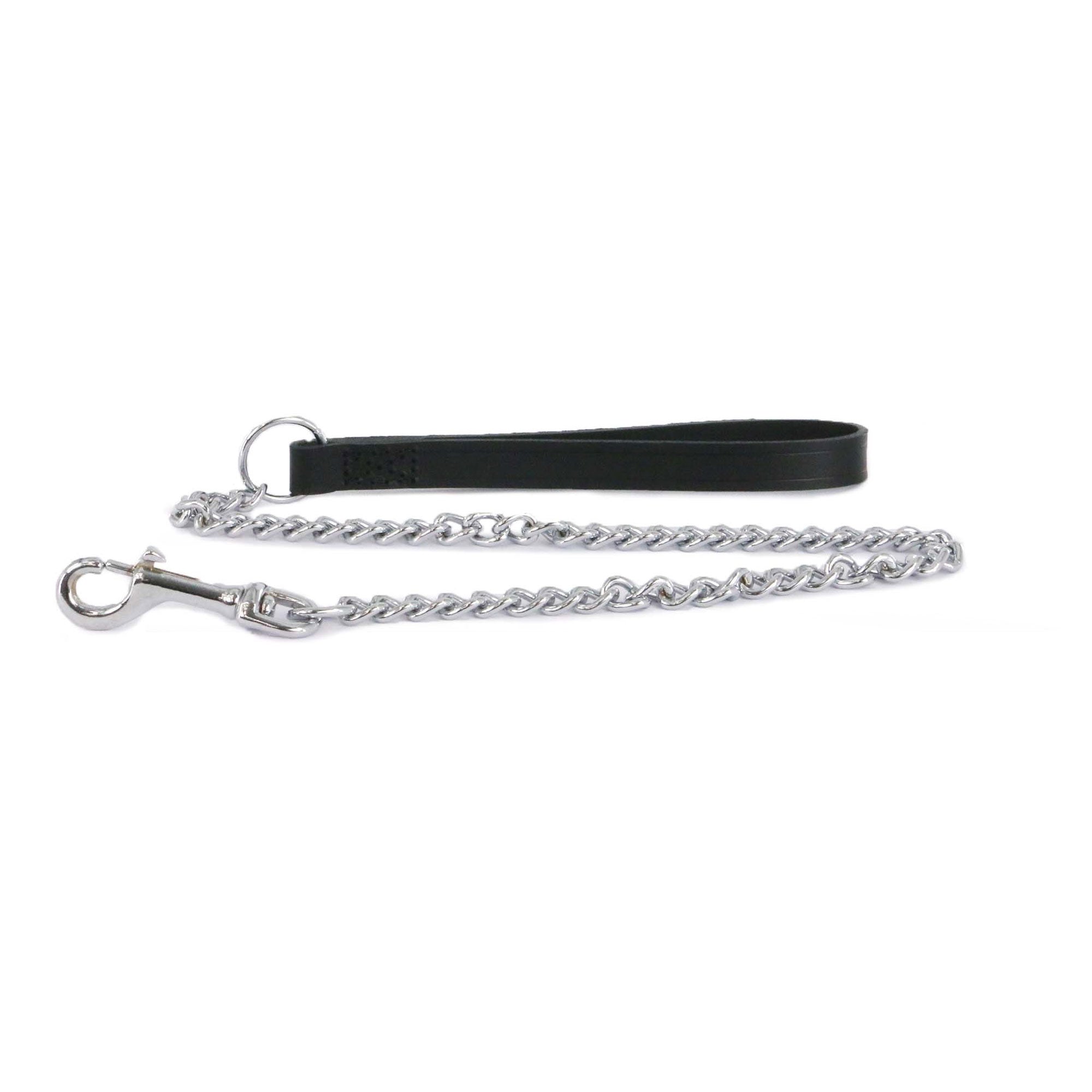 Long chain cheap dog lead