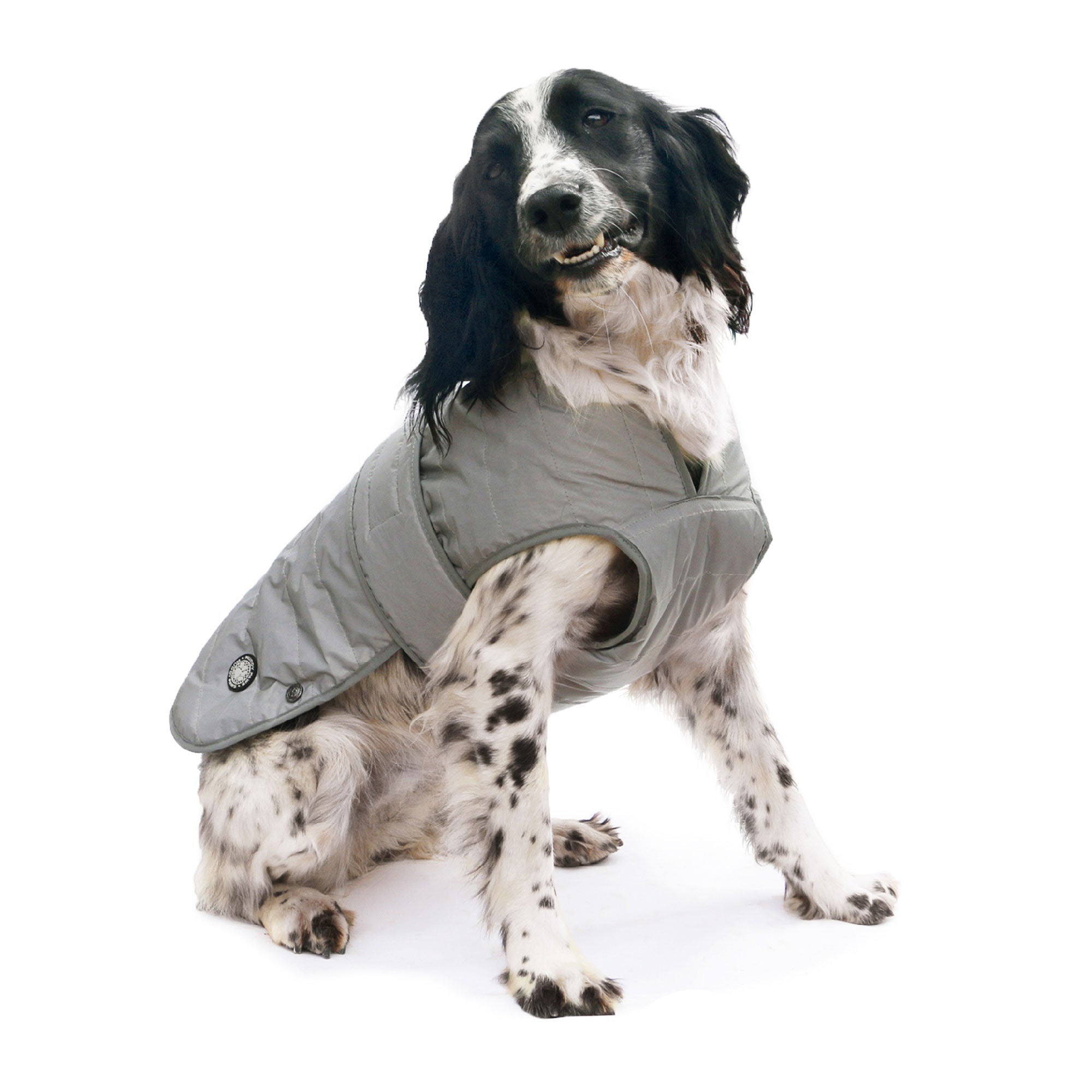 Ancol muddy paws deals waterproof dog coats