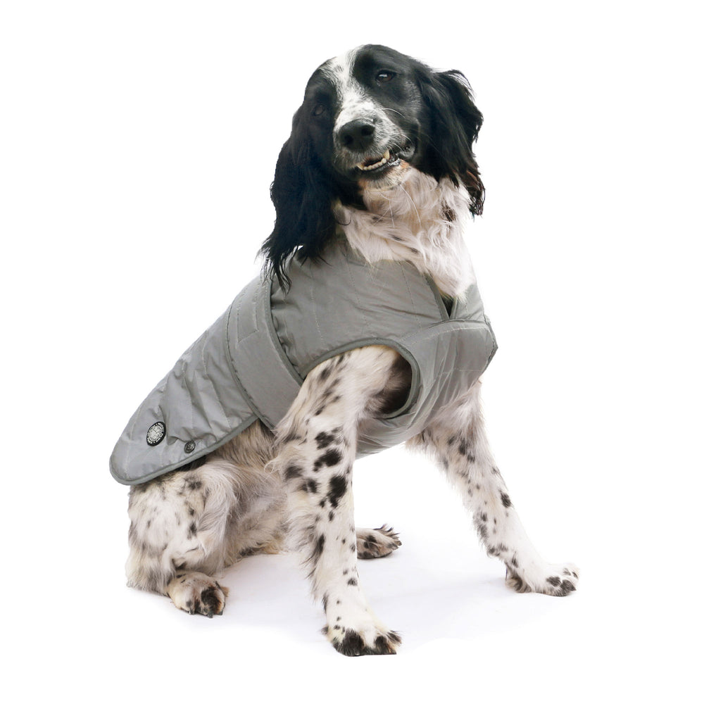 The Ancol Muddy Paws Ultimate Reflective Coat in Silver#Silver