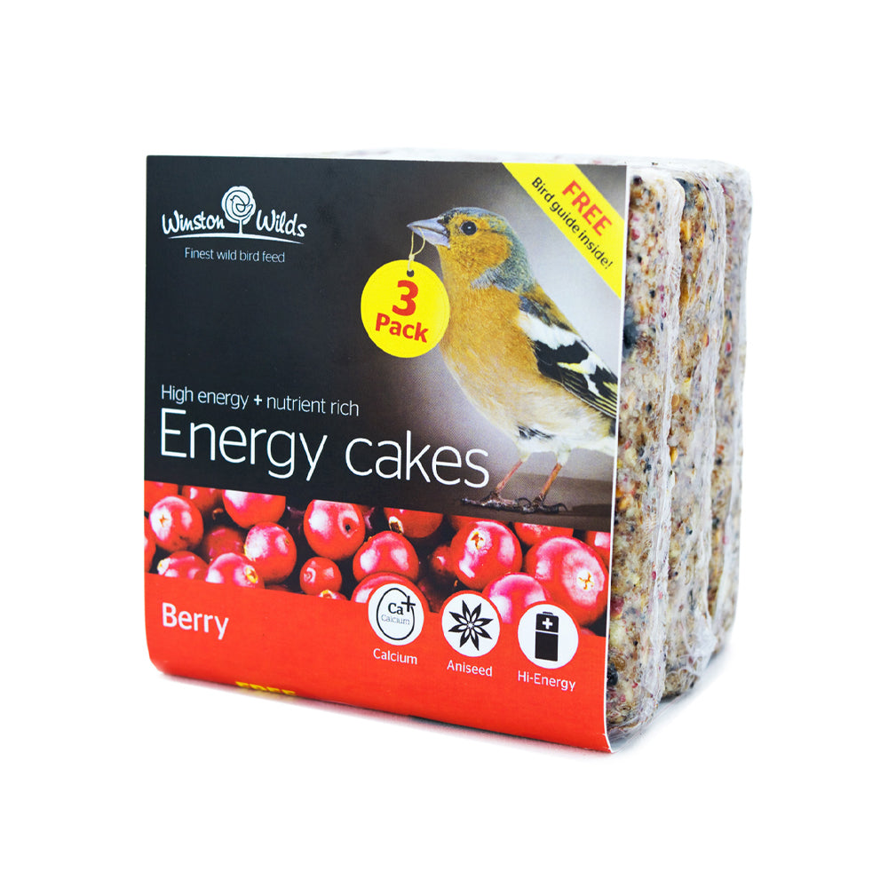 Winston Wilds 5 Berry Energy Cake