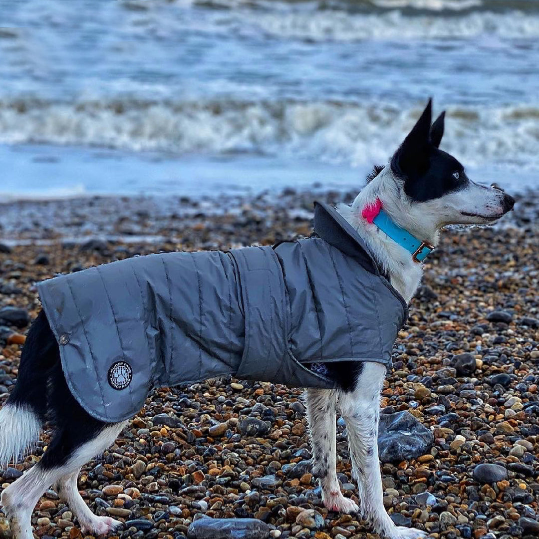 Ancol Muddy Paws Ultimate Reflective Coat