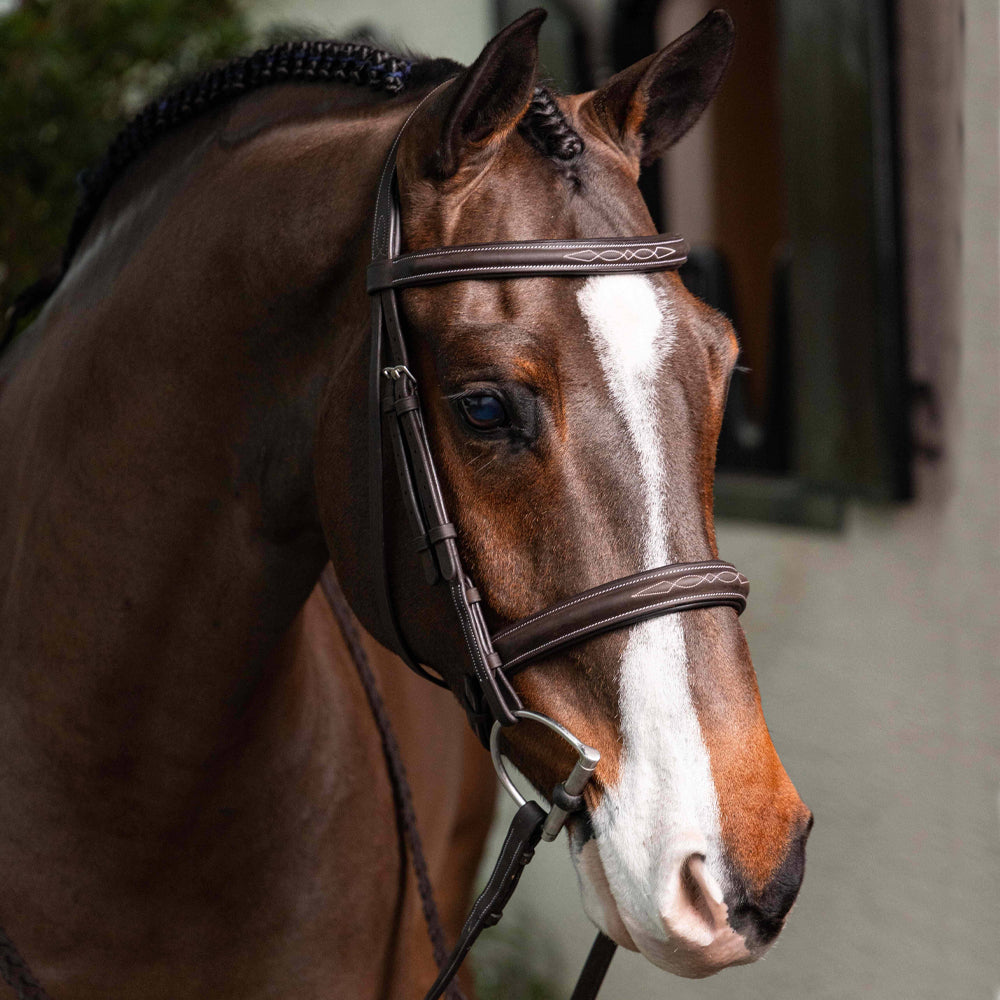 LeMieux Stitched Hunter Bridle with Laced Reins