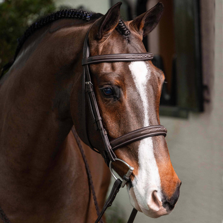 LeMieux Stitched Hunter Bridle with Laced Reins