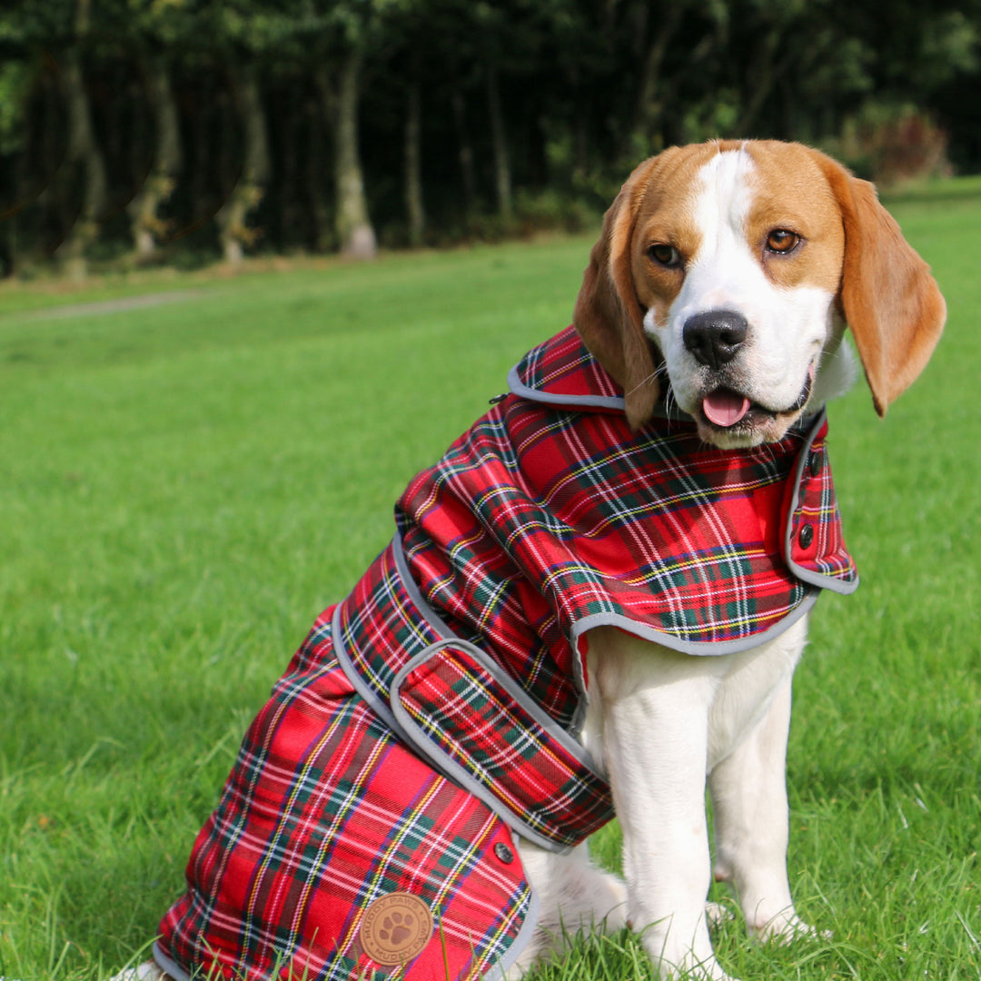 Ancol Highland Tartan Dog Coat