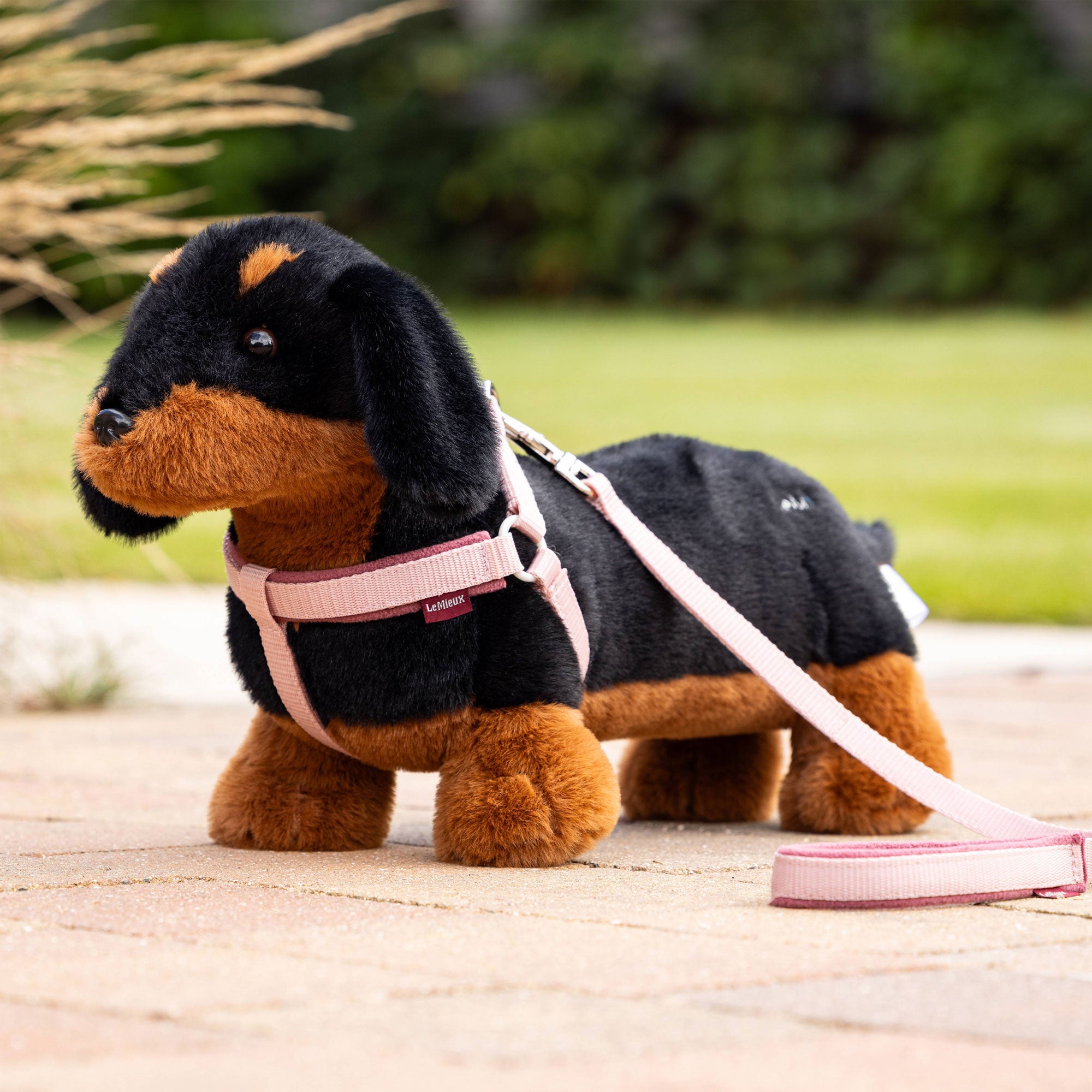 Dachshund wellies clearance