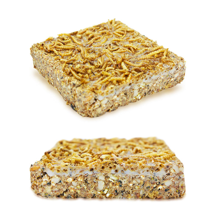 Winston Wilds 5 Mealworm Energy Cake