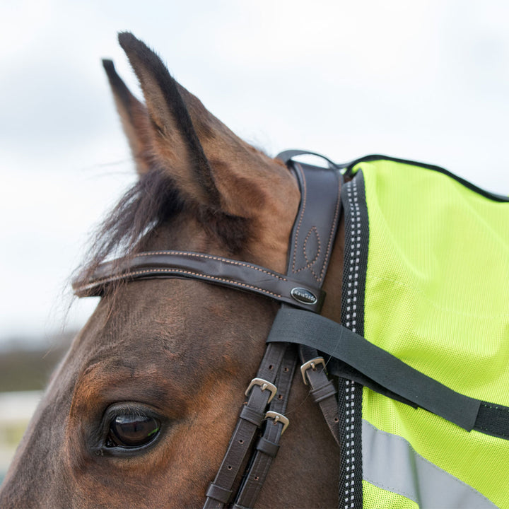 Gallop Ride On Hi-Vis Fly Rug