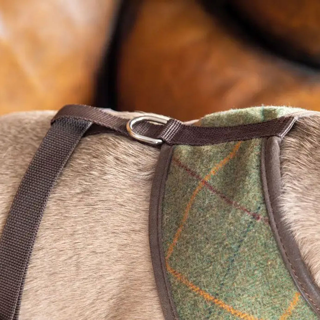 Digby & Fox Tweed Dog Harness