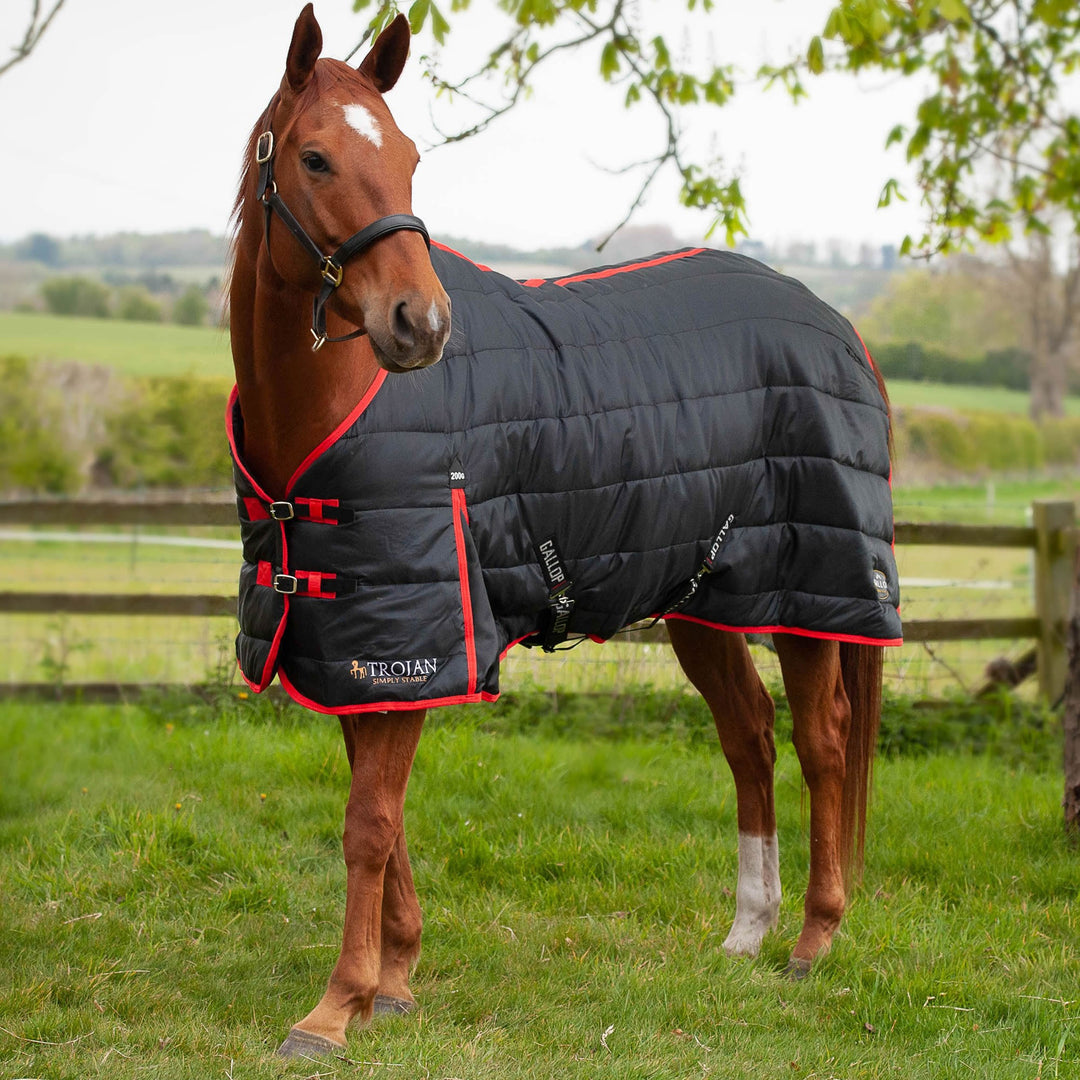 The Gallop Trojan 200 Stable Rug 200g in Black#Black