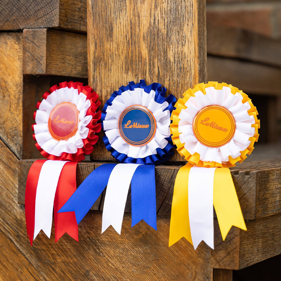 LeMieux Hobby Horse Rosette Pack Multi