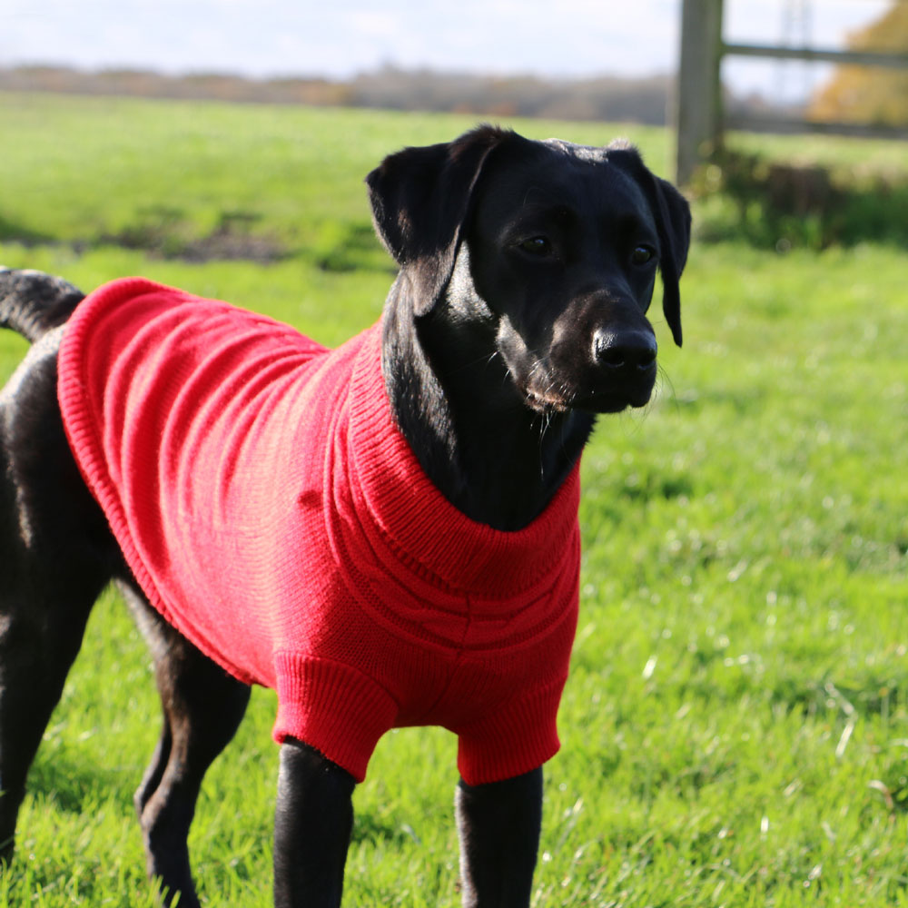 Ancol Cable Knit Dog Jumper#Red