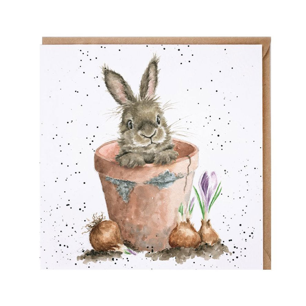 Wrendale The Flower Pot Greetings Card