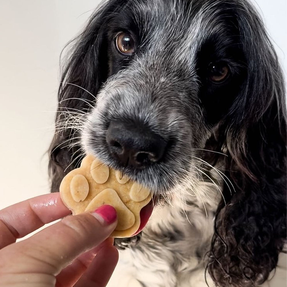 Dog & Bond Paw Shaped Mould 2-Pack