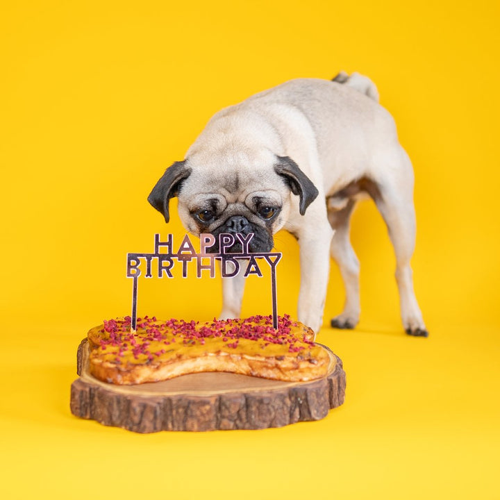 Dog & Bond Happy Birthday Cake Topper