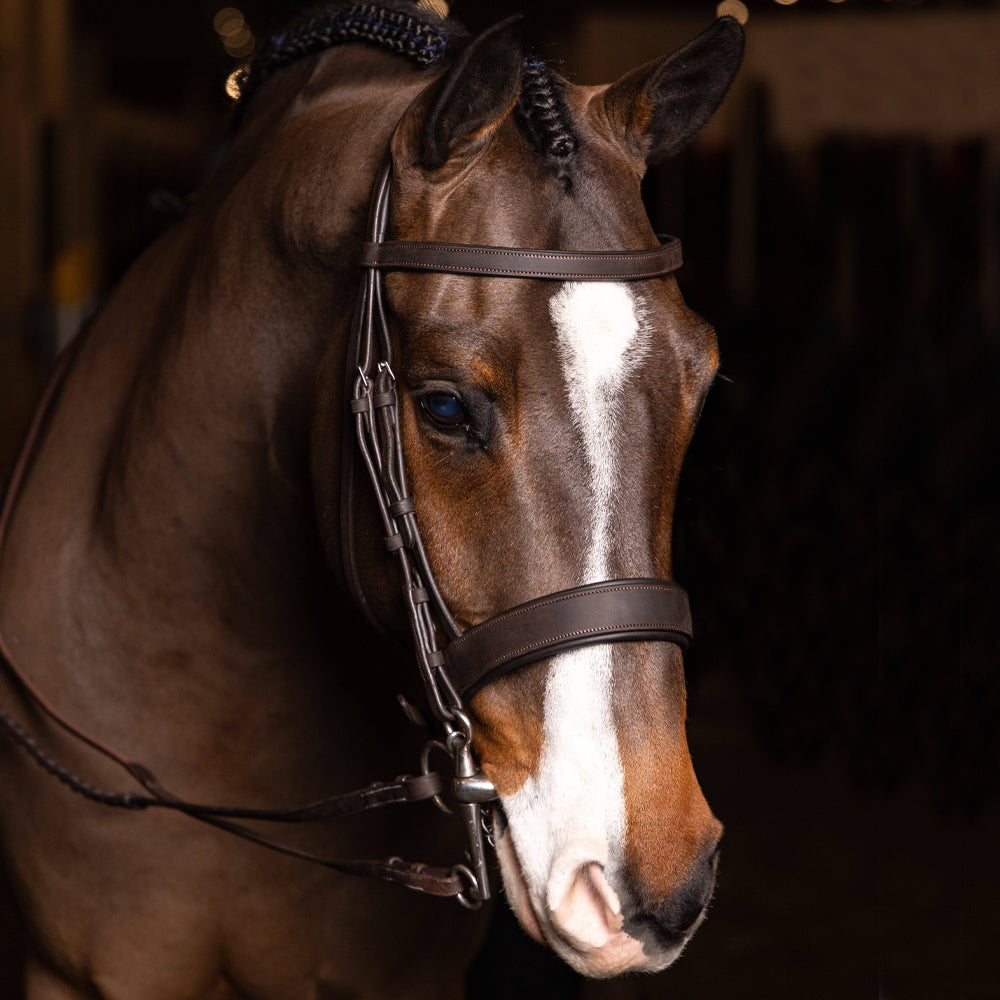 LeMieux Flat Hunter Bridle with Laced Reins