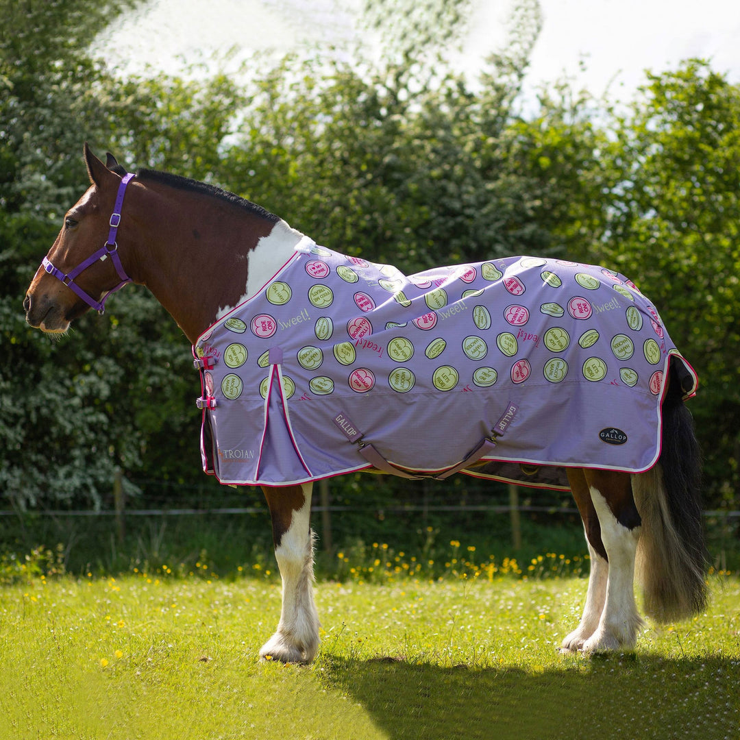 Gallop Trojan Sweet Treats 0g Standard Turnout Rug