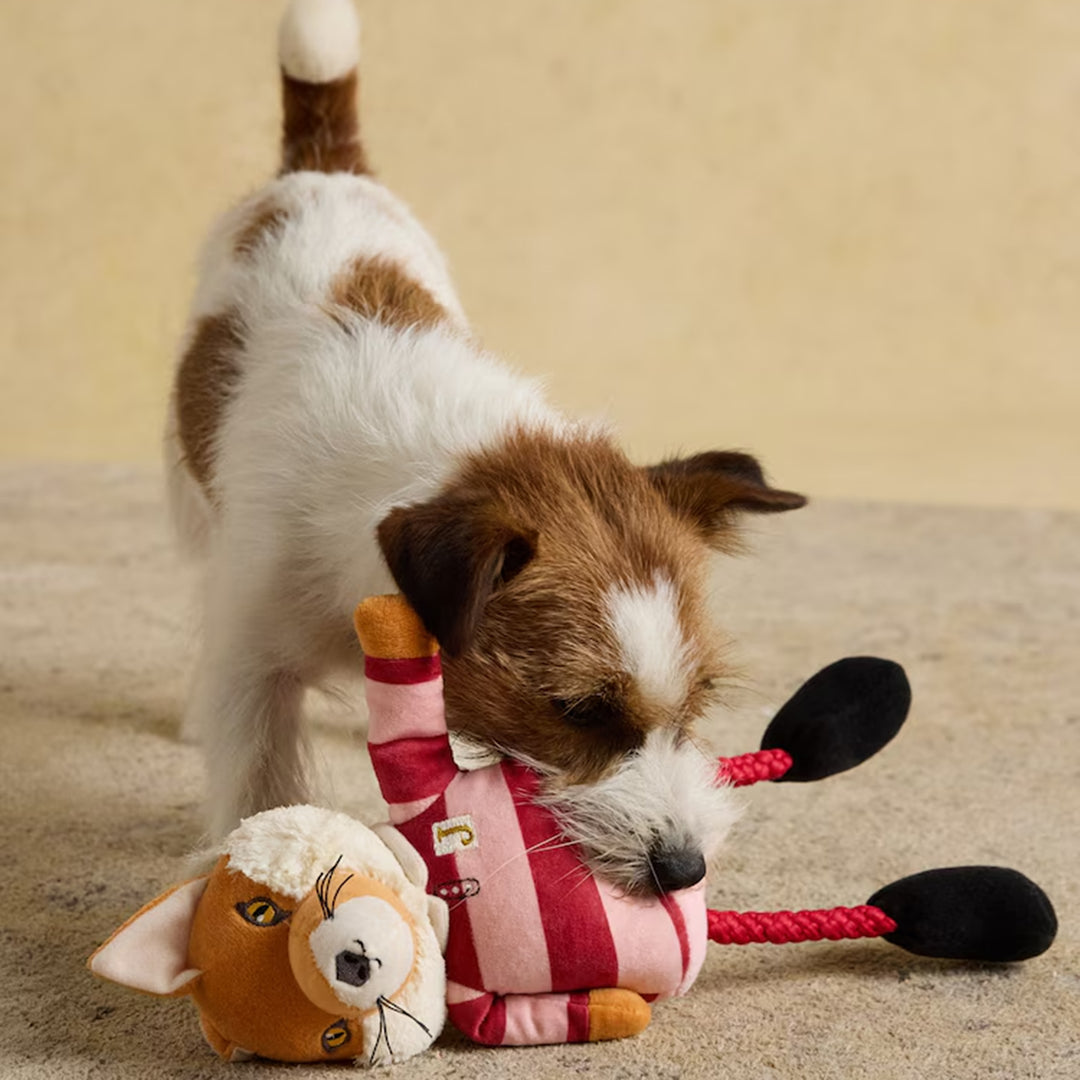 Joules Jonty Rugby Fox Dog Toy