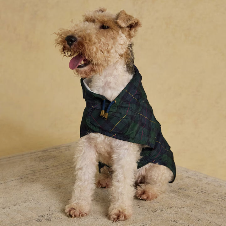 Joules Blackwatch Check Packaway Dog Jacket