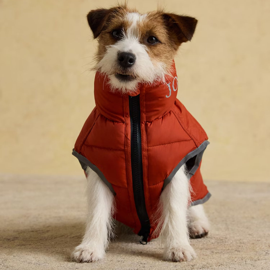 Joules Moorsdale Dog Puffer Coat