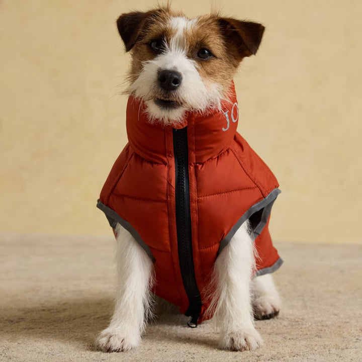 Joules Moorsdale Dog Puffer Coat