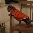 Joules Moorsdale Dog Puffer Coat