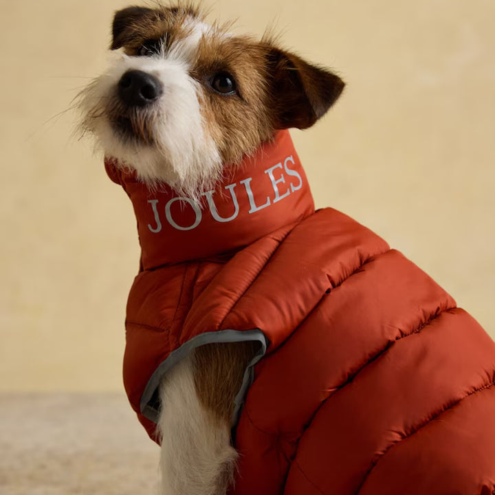 Joules Moorsdale Dog Puffer Coat