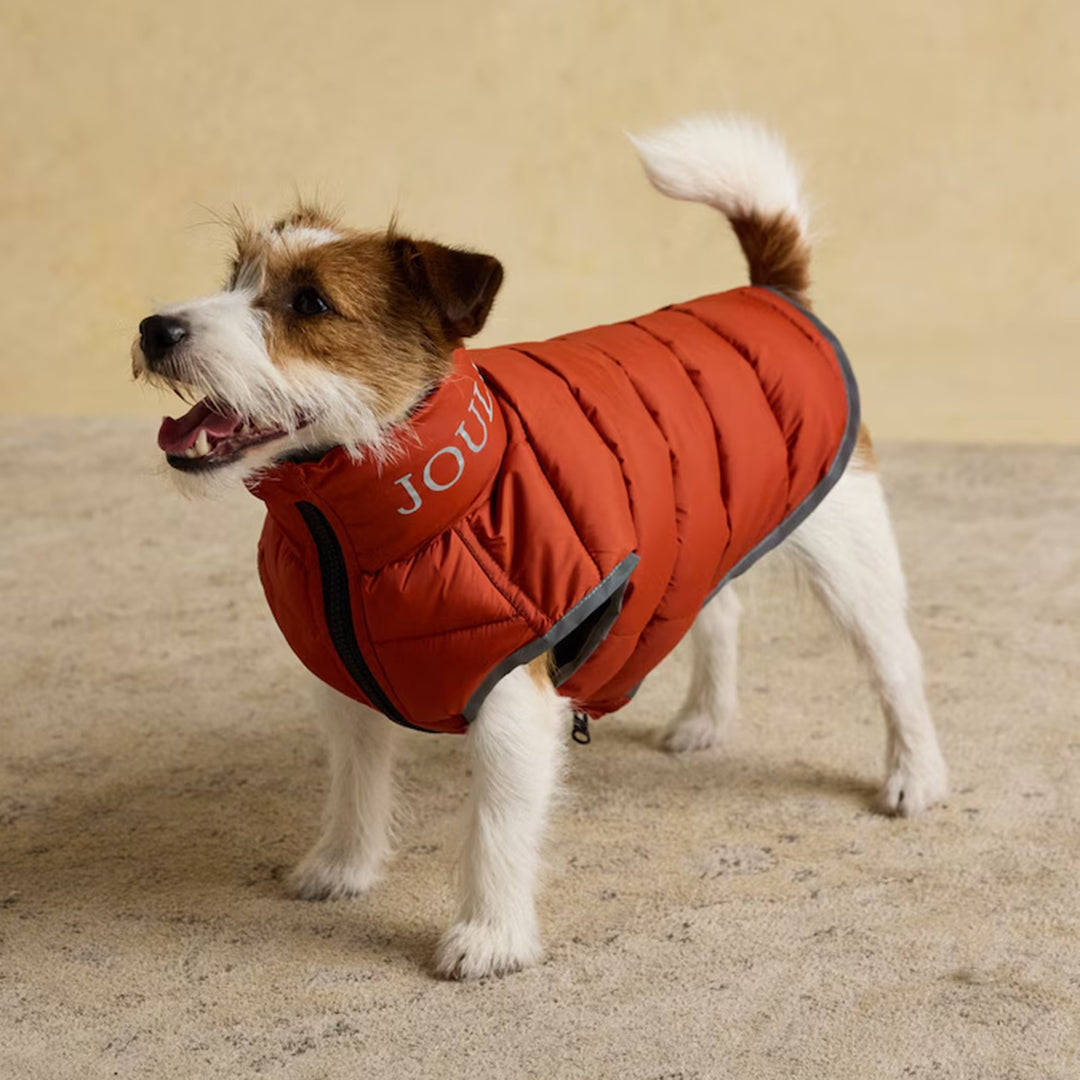Joules Moorsdale Dog Puffer Coat