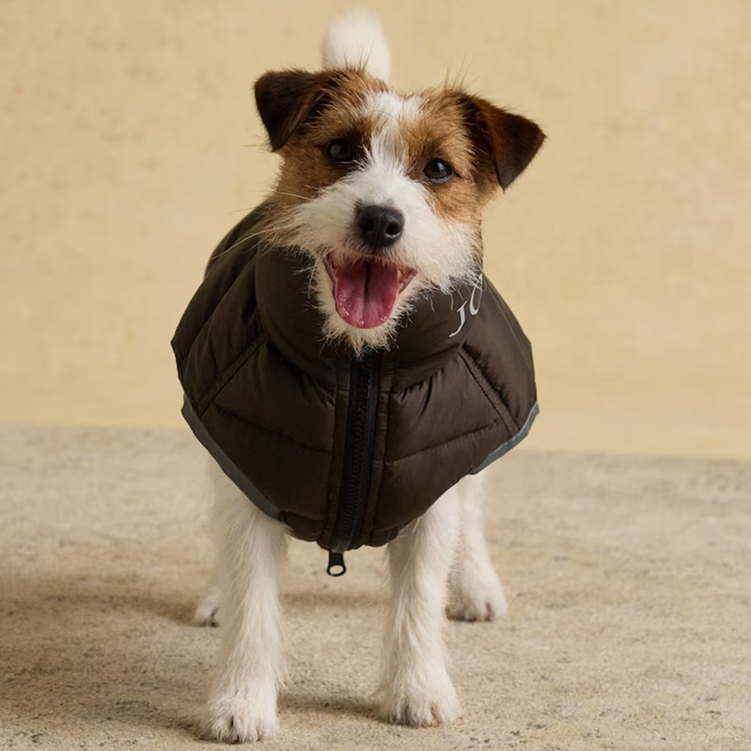 Joules Moorsdale Dog Puffer Coat