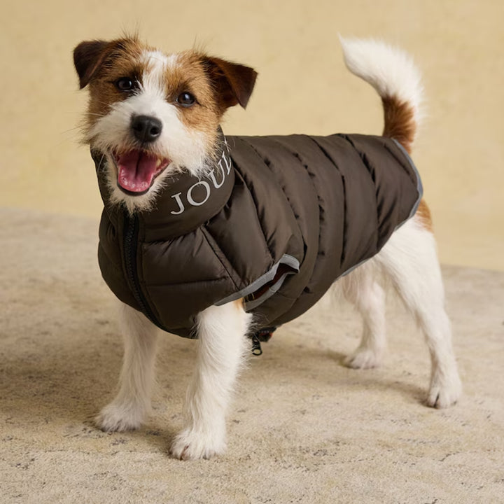 Joules Moorsdale Dog Puffer Coat