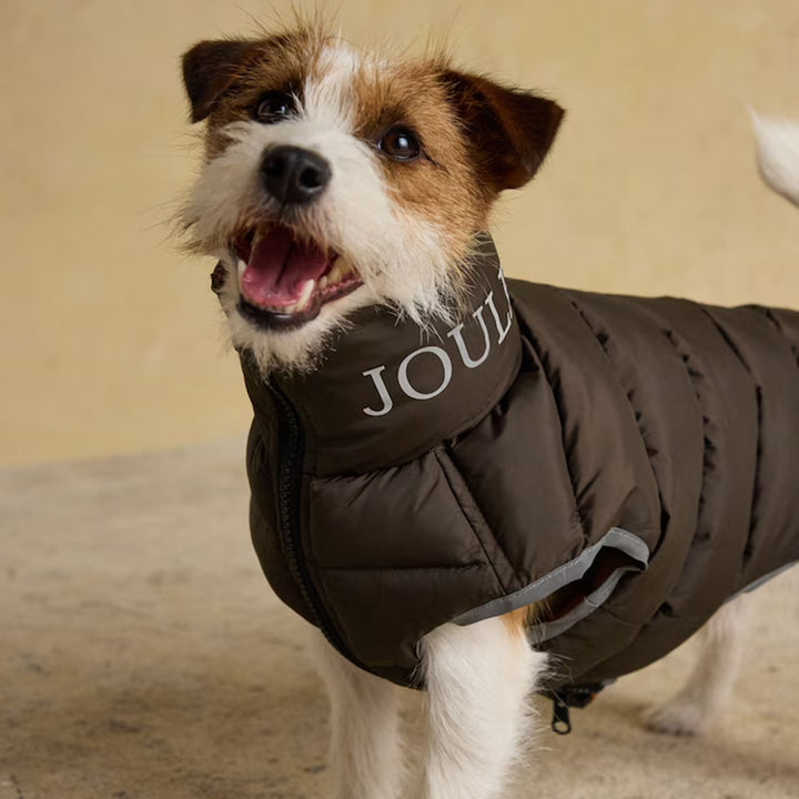 Joules Moorsdale Dog Puffer Coat