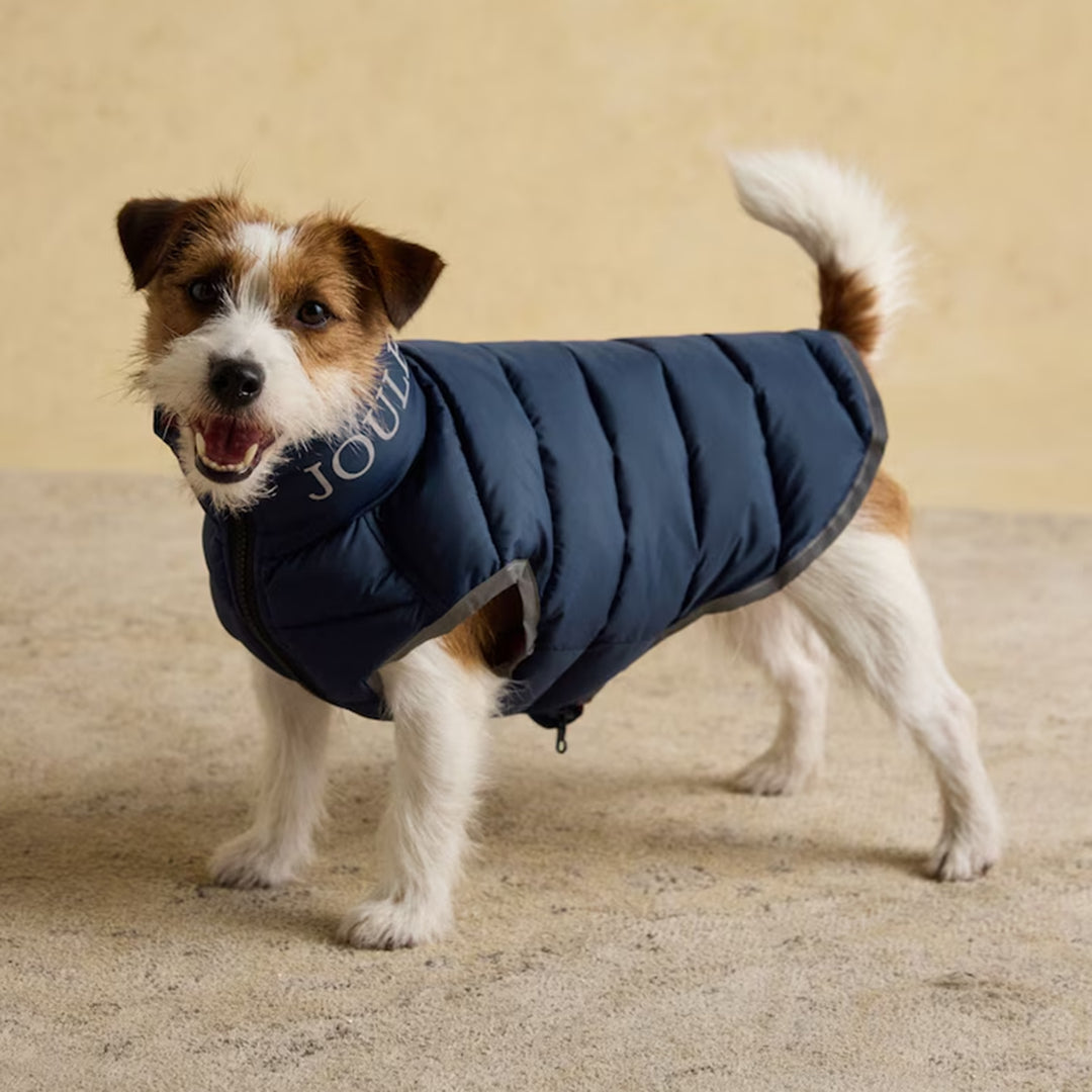 Joules Moorsdale Dog Puffer Coat