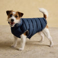 Joules Moorsdale Dog Puffer Coat