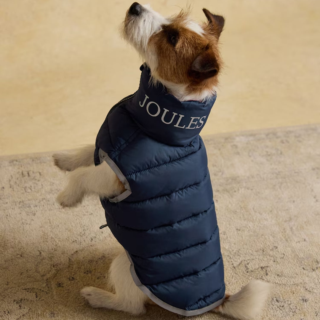 Joules Moorsdale Dog Puffer Coat