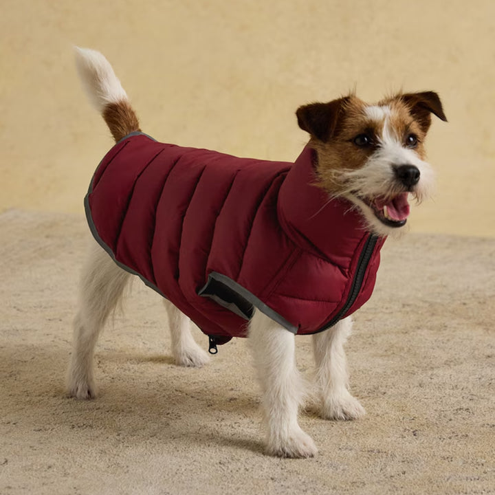 Joules Moorsdale Dog Puffer Coat