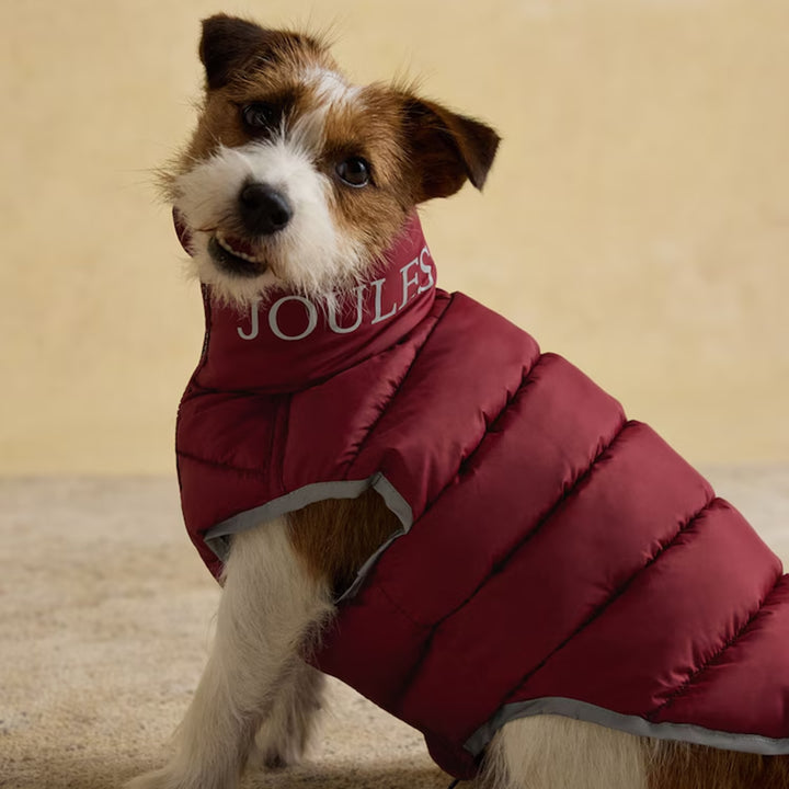 Joules Moorsdale Dog Puffer Coat