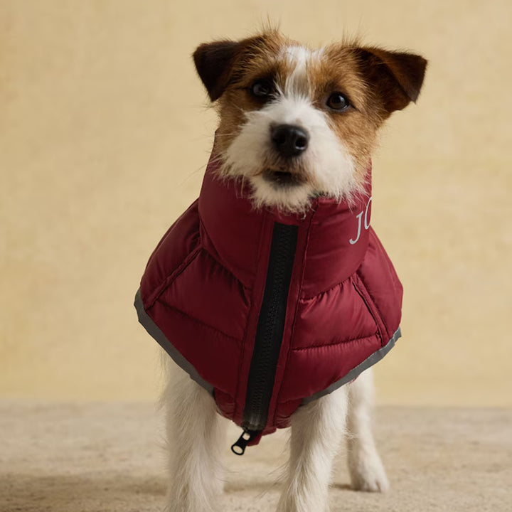 Joules Moorsdale Dog Puffer Coat