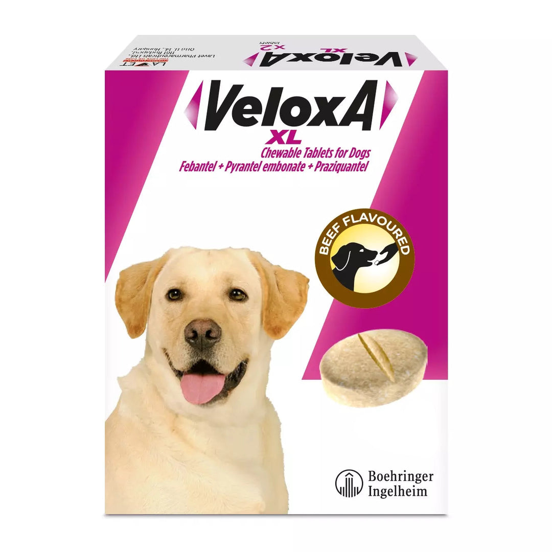 VeloxA XL chewable tablets for dogs packaging with a dog on the box