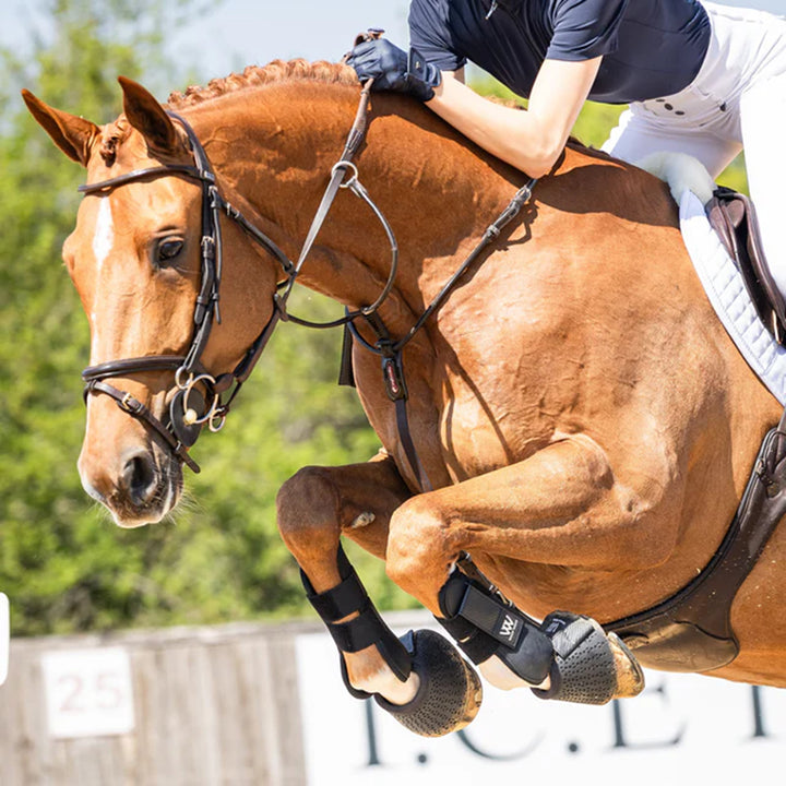 Woof Wear New Pro Tendon Boots