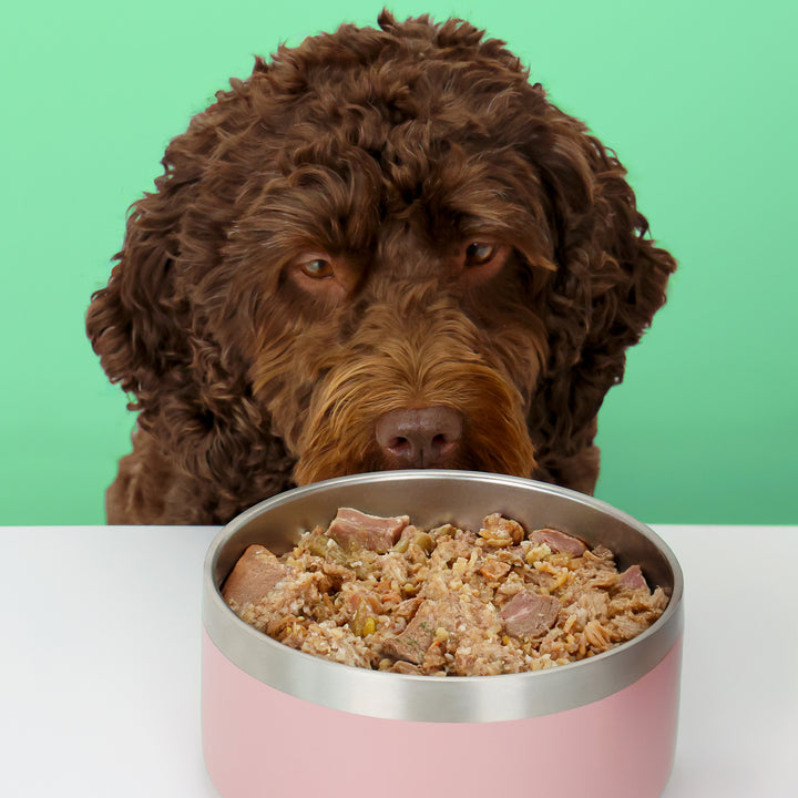 Wilsons Fish & Beef Fresh Dog Food