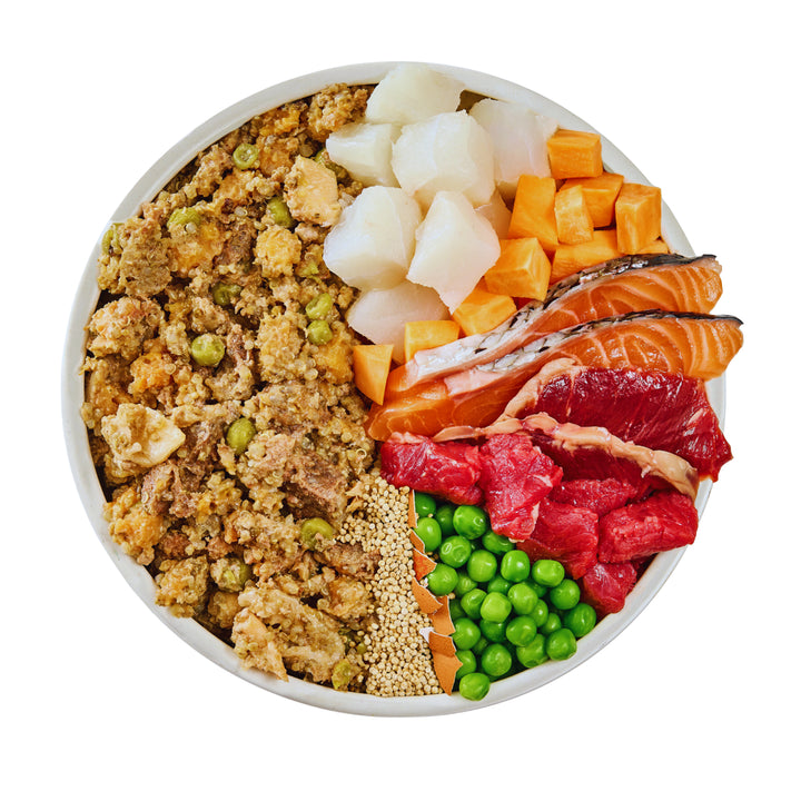 Wilsons Fish & Beef Fresh Dog Food