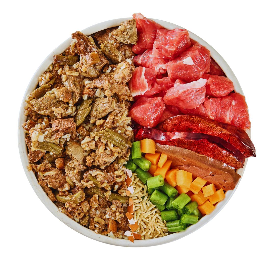 Wilsons Lamb & Rice Fresh Dog Food