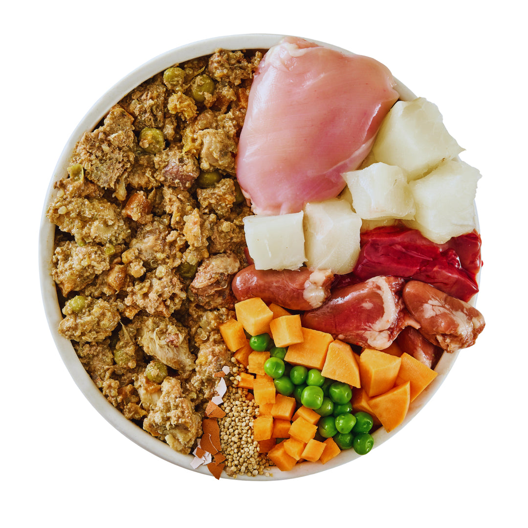 Wilsons Puppy Chicken & Fish Fresh Dog Food