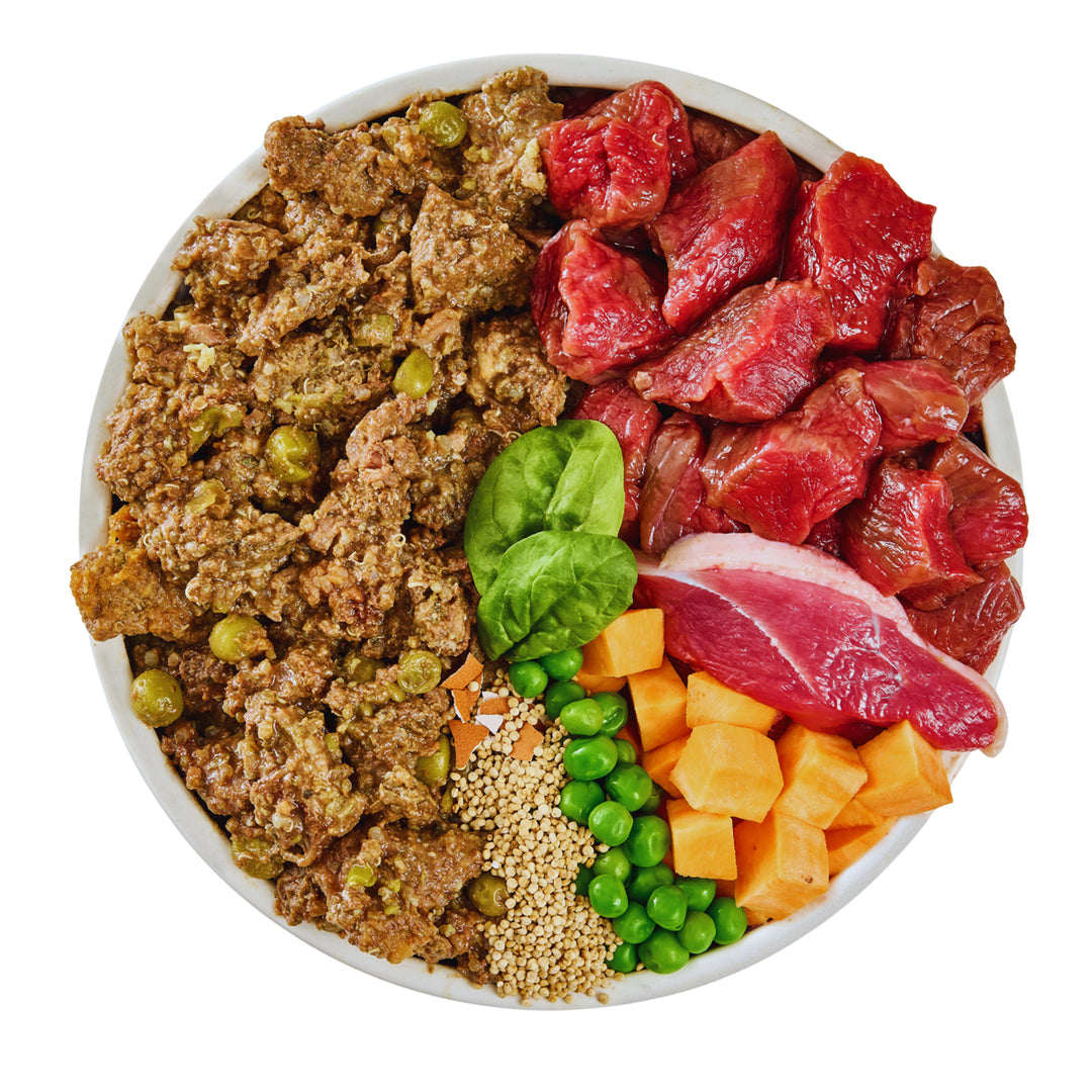 Wilsons Venison & Duck Fresh Dog Food