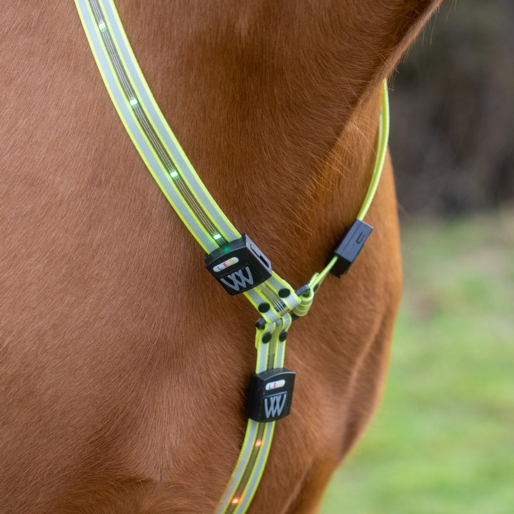 Woof Wear LED Neck Band