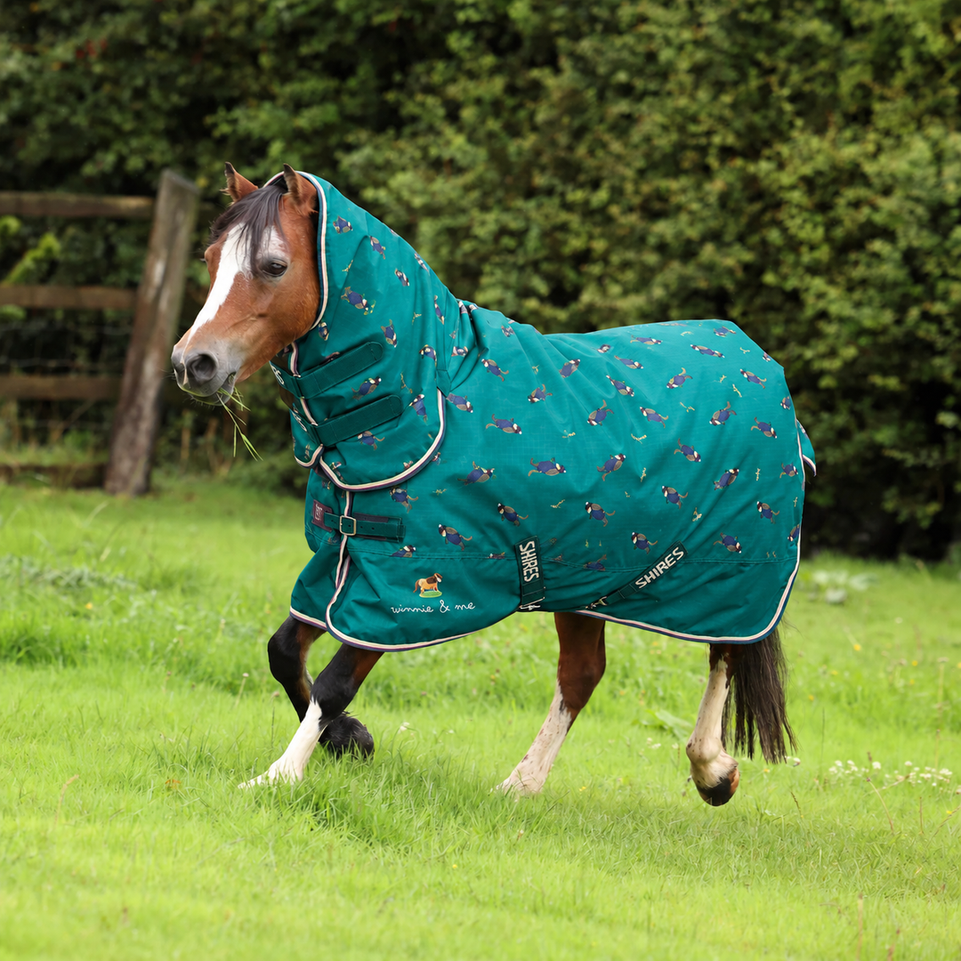 A horse wearing a teal horse rug with a cartoon horse pattern, trotting in a grassy field with trees in the background.