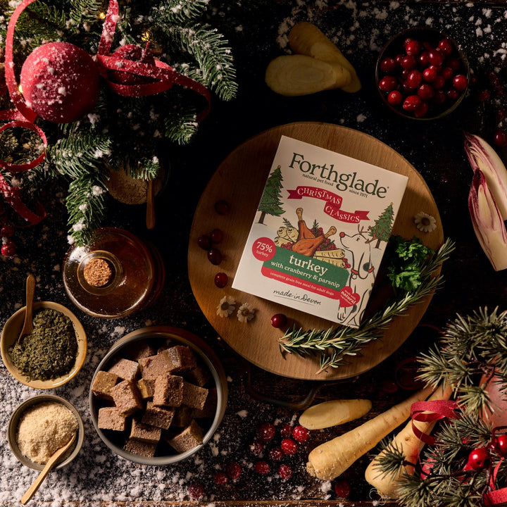 Forthglade Adult Complete Christmas Turkey with Cranberry & Parsnip