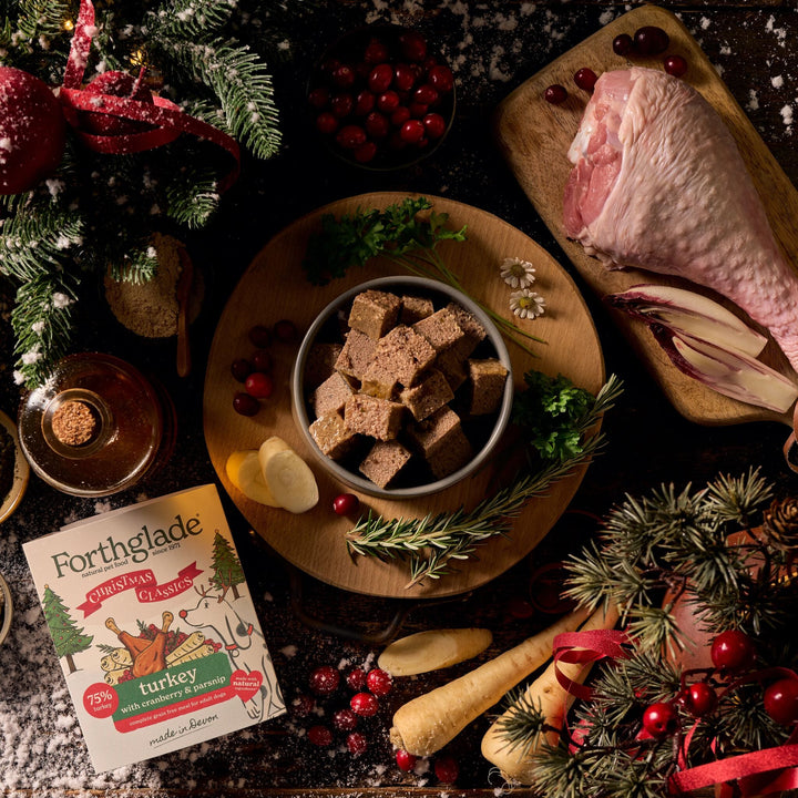 Forthglade Adult Complete Christmas Turkey with Cranberry & Parsnip