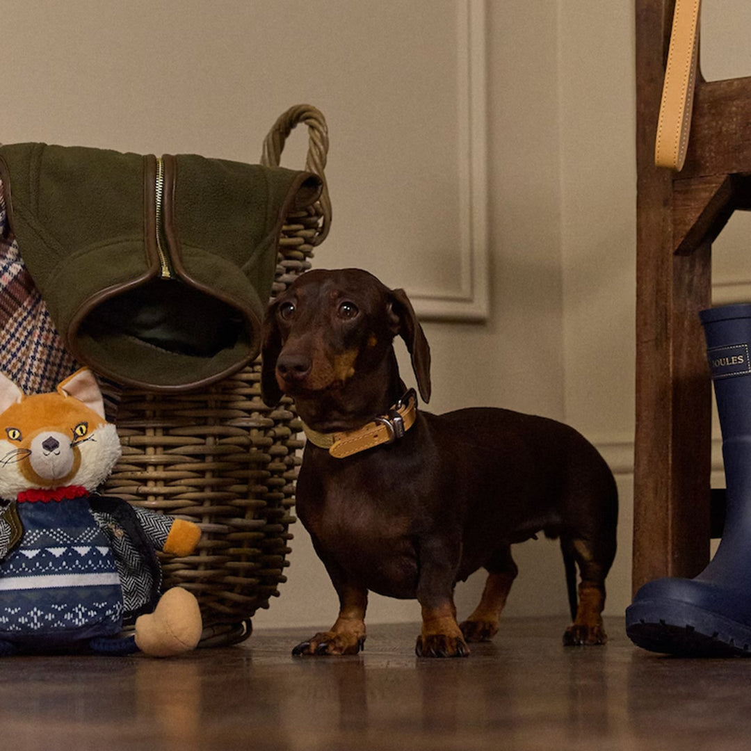 Joules Tan Dog Collar