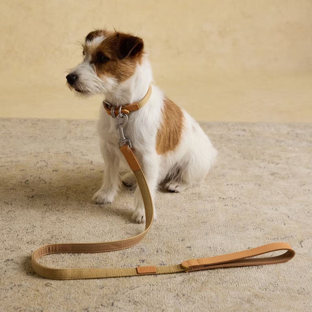 Joules Tan Dog Lead