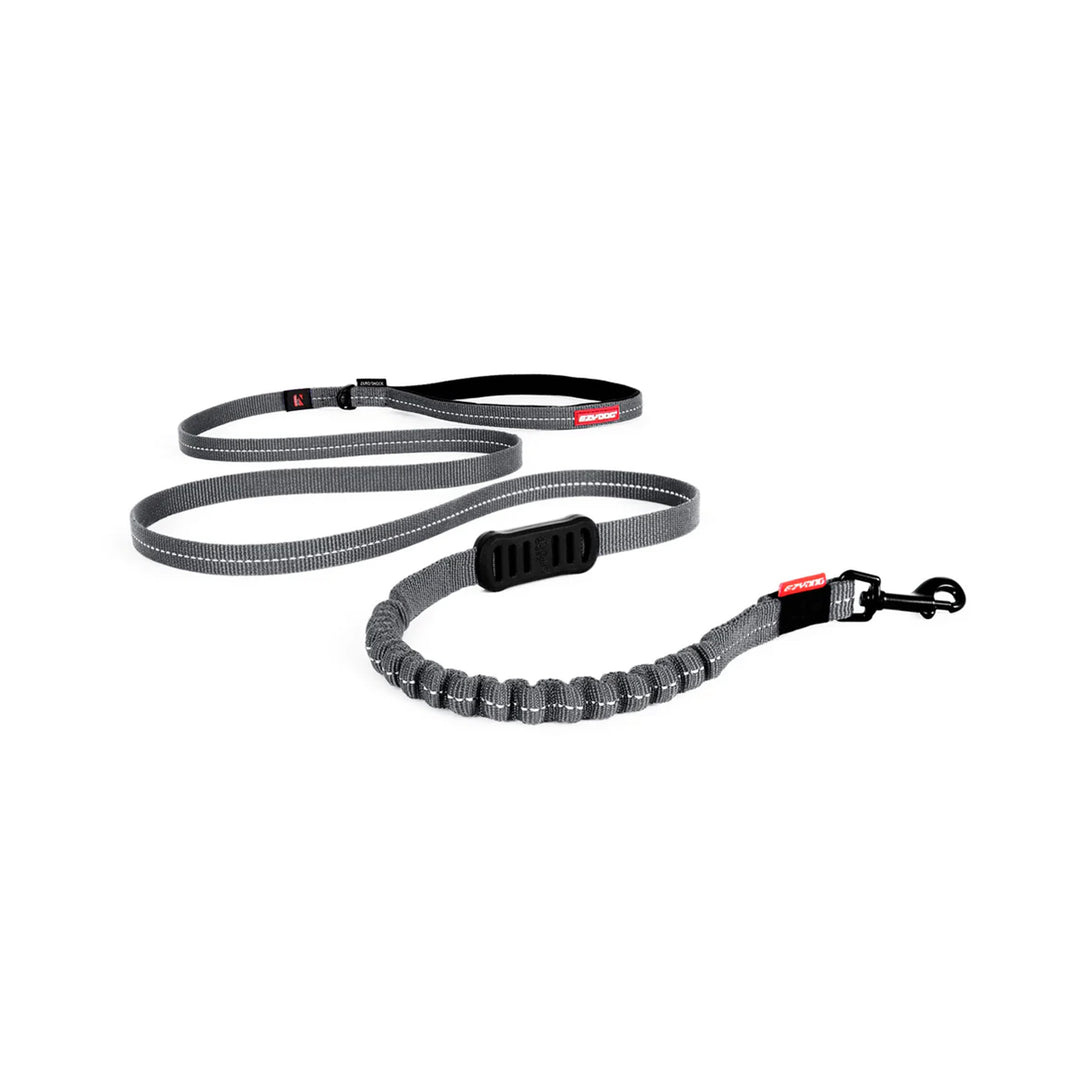 EzyDog Zero Shock Lead